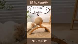 이런 고양이 장난감 본적 있니?