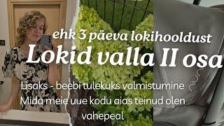 LOKID VALLA II OSA/ Kuidas ma lokke värskendan? / Nesting /Uue kodu aia UPDATE