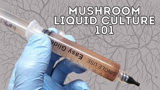 HOW TO MAKE LIQUID CULTURE FOR MUSHROOM GROWING, Vented Lid Jars from Start to Finish