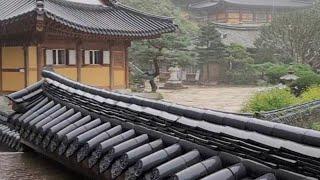 생활 선명상 입문과정 20기 수련 중 #명상 #meditation