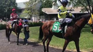 Visiting Arlington Park in its Final Year