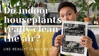 Do Indoor Houseplants Really Clean the Air? | Air Pollution | Myth Busted | Ep 129