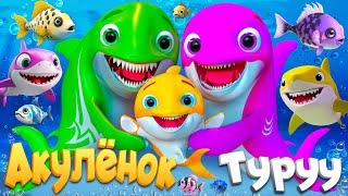Песня о Малыше Акуле - Детские стишки и детские песни - Banana Cartoon #детскиестишки