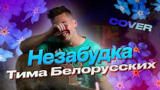 Тима Белорусских -  Незабудка под гитару