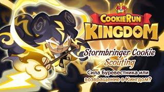 Сила Буревестника или возвращение в Кингдом? [Cookie Run Kingdom - Stormbringer Cookie Scout]