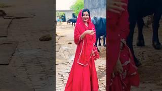  #trendingshorts #dance #newharyanvisong #song #bolleywoodsong #love