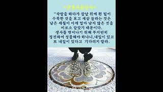 #진정극문선사# #김이현 定慧#禪어록,#참선 ,#선불교,#간화선 ,#명상,#수행,#수행#자신과의 만남,