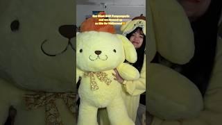 Giant Pompompurin  #sanrio #buildabear #pompompurin #unboxing #shorts