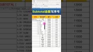 Excel Subtotal 函數寫智能序號