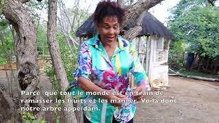 Le jardin des origines