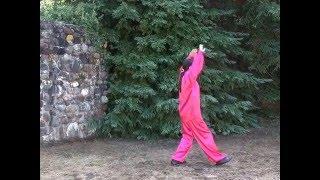 Swimming Dragon Walking Qigong (Tai Yi Xing Bu Gong) I & II