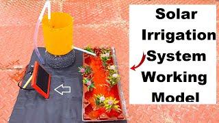 solar power irrigation system working model science project - diy - DIY pandit