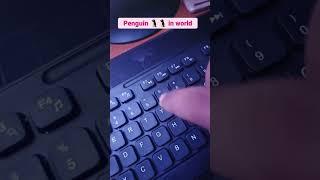 penguin  in world #reels #shorts