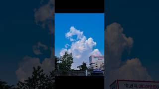 노란 전선…사라지게 하는방법?? #라이트룸 #ai