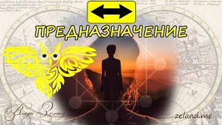 Как найти свое ПРЕДНАЗНАЧЕНИЕ ? | Влада Зеланд
