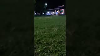 Green grass###mila vlog