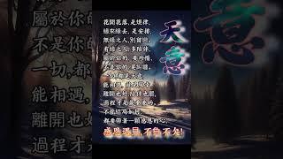 #人生感悟 #好文分享 #心靈雞湯 #心靈#正能量 #正面思考#人生#修行