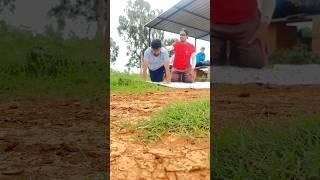 Village Desi Style Cricket Journey#shorts #ytshorts #villagecricket