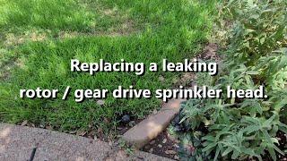 Replacing a leaking rotor (gear drive) sprinkler head.