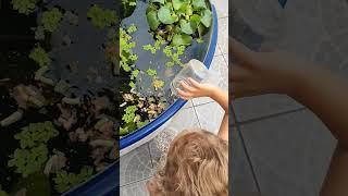 ensinando a próxima geração aquarista pai e filha