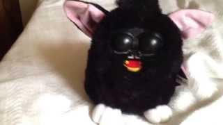 Possessed furby