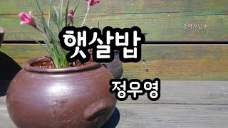 [시낭송] 햇살밥 - 정우영/시집 - 순한 먼지들의 책방/영애시낭송