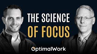 OptimalWork and the Brain: The Default Mode Network