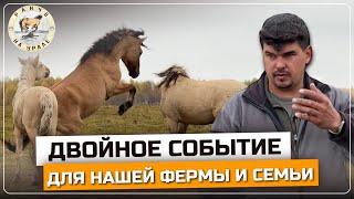 Как можно и нужно жить на селе | Готовимся к двойному празднику | Ранчо на Урале