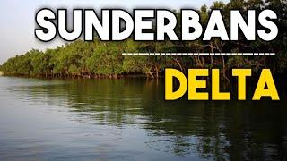 Sunderban Delta | Sundarban Delta national park