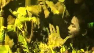 Tony Q Rastafara - Pesta Pantai