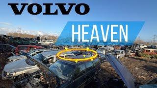 MEGA VOLVO GRAVEYARD! Hundreds Of Old Classic Volvos Left To Rot!