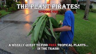 Finding FREE Tropical Plants in the Trash! The Plant Pirates Episode #92