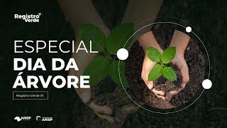 Registro Verde #1 | Especial Dia da Árvore