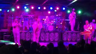 Here Come The Mummies - "Flute Beatbox/Shag Carpet" (live at Harvest Fair, Wisconsin) 09-28-2024