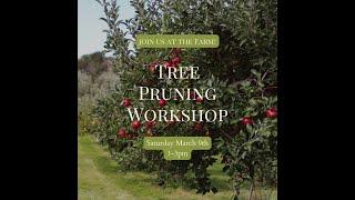 Free Tree Pruning Workshop!