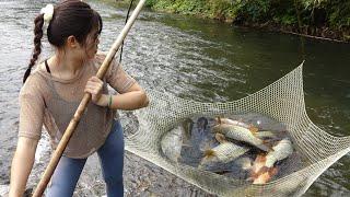 Survival Skills - Unique Fishing Technique, Traditional Fishing with Net, Catch a Lot of Big Fish