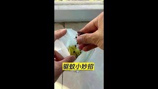 实用的生活小妙招