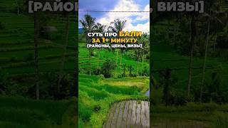 СУТЬ про БАЛИ за 1 минуту [районы, цены, визы] #shotrs #travel