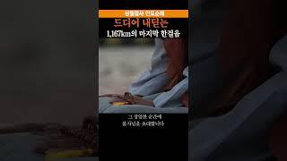 드디어 내딛는 1,167km의 마지막 한걸음 #인도순례