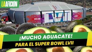 ¡Aguacate, el otro protagonista del Super Bowl! ¿Cuántas toneladas mandará México?