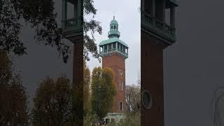 Loughborough Carillon on Remembrance Day.