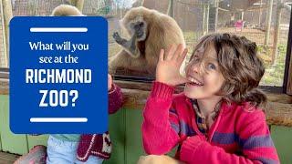 What Will You See At The Richmond Zoo?