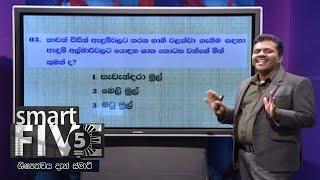 Smart Five - (2021-06-06) | ITN