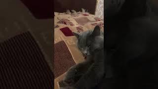 Малиновый закат 