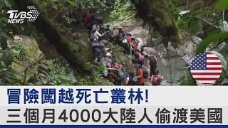 冒險闖越死亡叢林! 三個月4000大陸人偷渡美國｜TVBS新聞