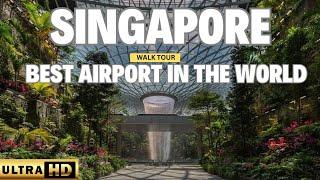 World's Best Airport Changi Airport/Glimpse Of Shiseido Forest Valley Walk Tour