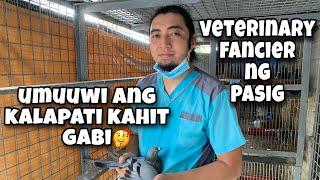 VETERINARY FANCIER NG PASIG, UMUUWI ANG KALAPATI KAHIT GABI |Reggie Cruz Loft & Aviary #RACINGPIGEON