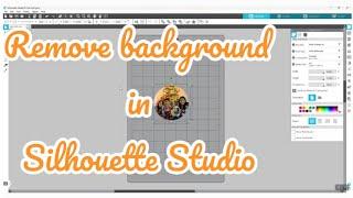 How to remove white background (media) in Silhouette Studio | Convert project to PNG or JPG files