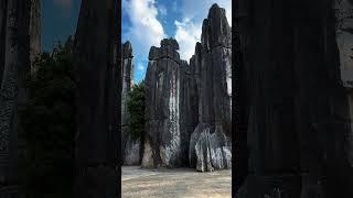 石林 stone forest#旅行 #travel