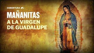 Mañanitas a la Virgen de Guadalupe 2024 en vivo desde la Basílica